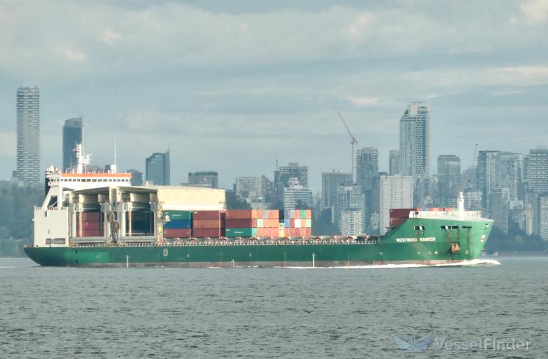 WESTWOOD RAINIER photo