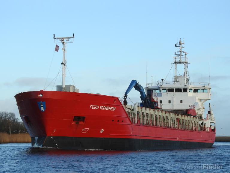 FEED TRONDHEIM photo