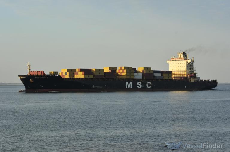 MSC VIDISHA R.