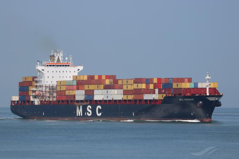 MSC VIDISHA R. photo