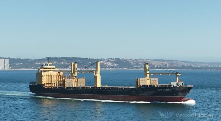 MSC CEDAR II photo