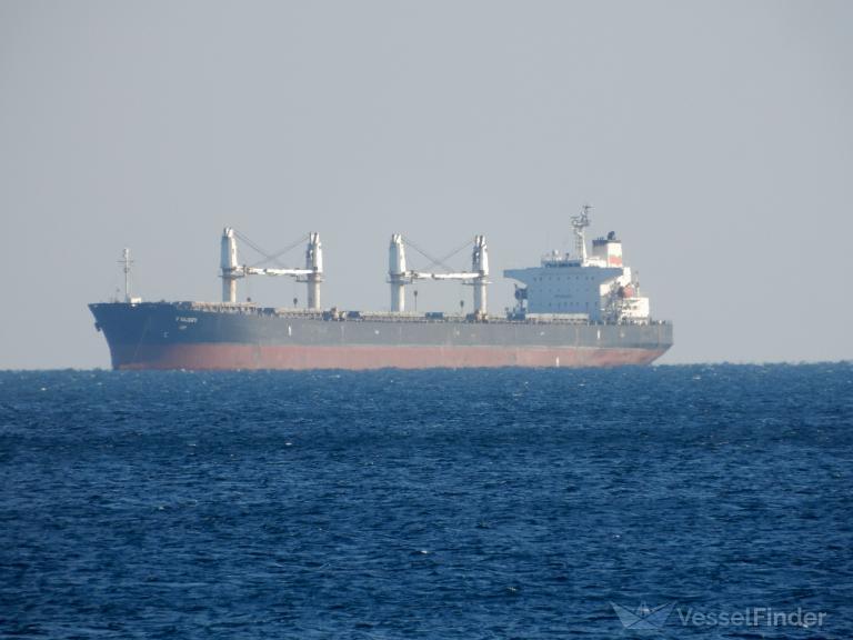 LEO I, Bulk Carrier - Details and current position - IMO 9231561 ...