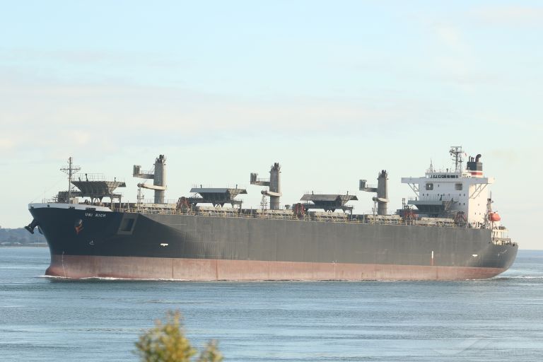 THANH THANH DAT 8999 photo