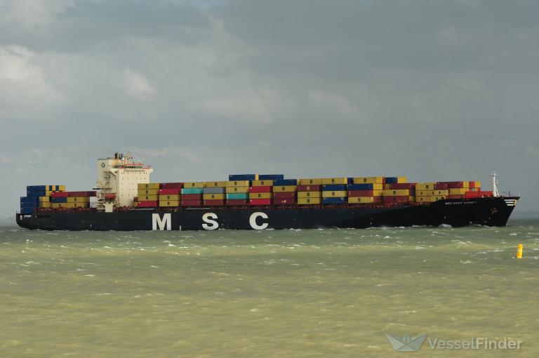 MSC HONG KONG V photo