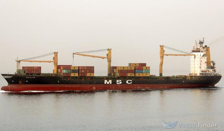 MSC ALICE II photo