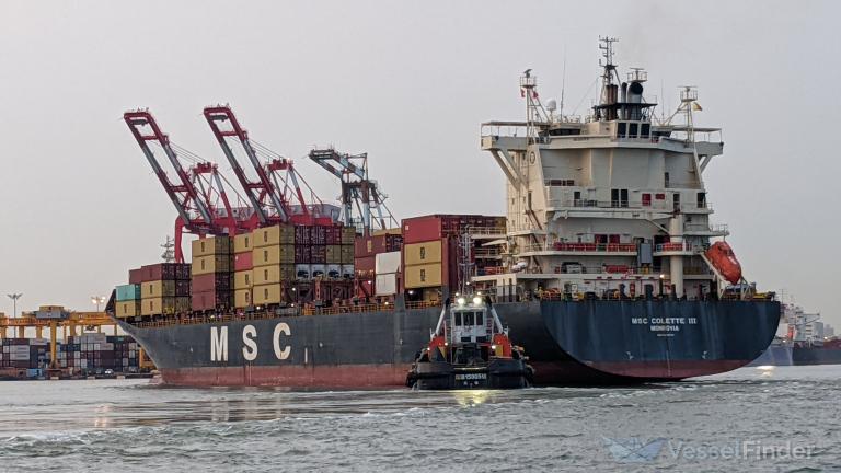 MSC COLETTE III photo