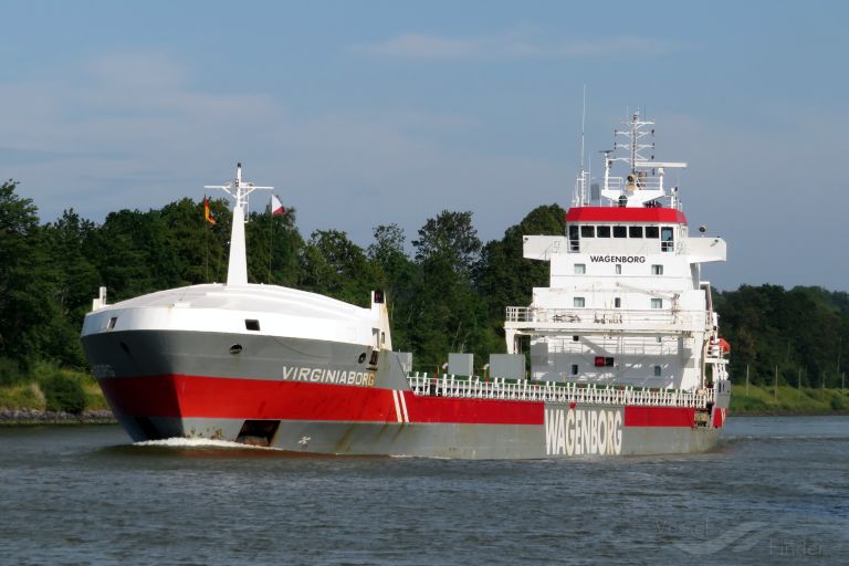 VIRGINIABORG photo