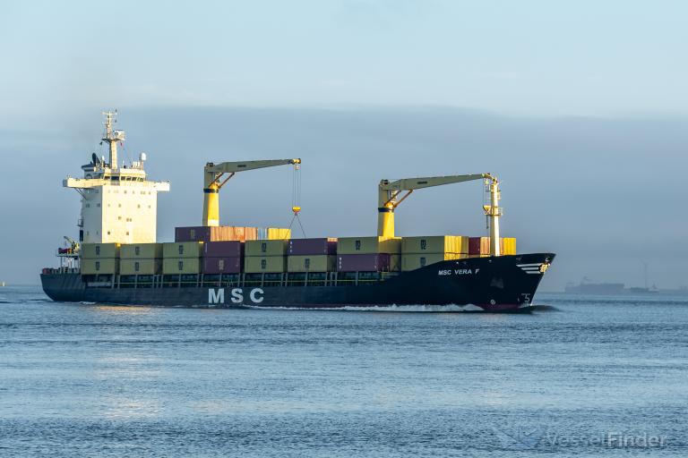MSC VERA F photo