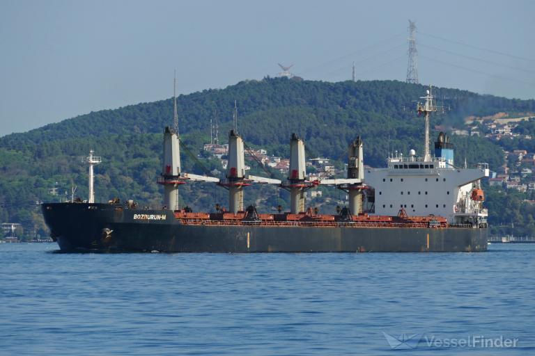 BOZBURUN-M photo