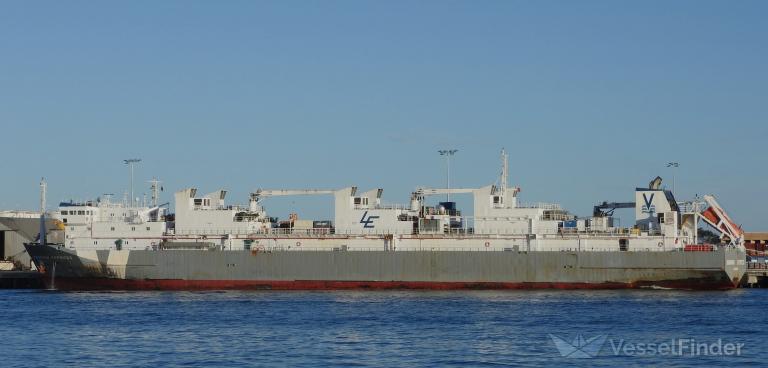 BRAHMAN EXPRESS photo