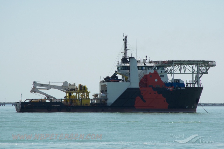 CABALLO DE MAR photo