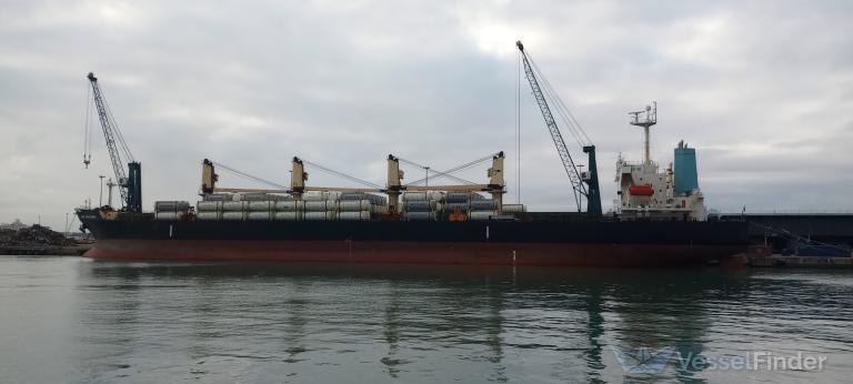 OASIS CHAMPION photo