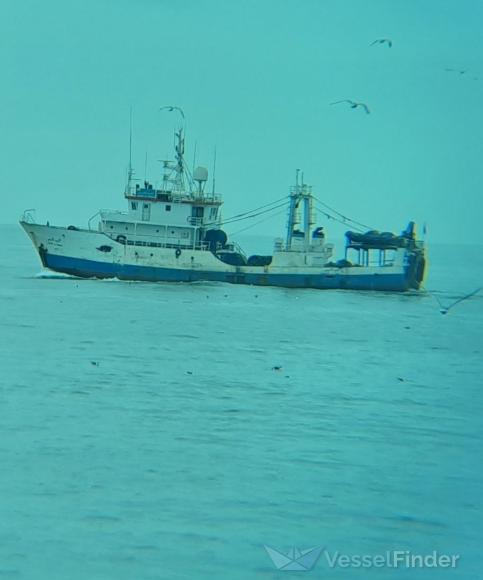 AMIR MOULAY ABDALLAH photo