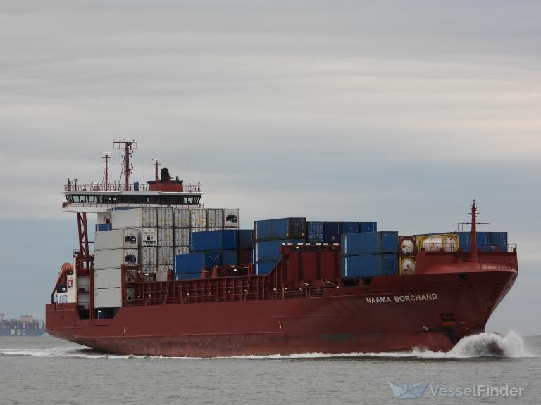 NAAMA BORCHARD photo