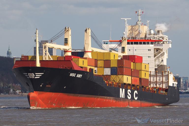 MSC AMY, Container Ship Details and current position IMO 9242651