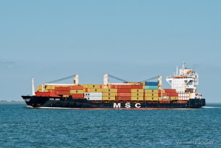 MSC AMY
