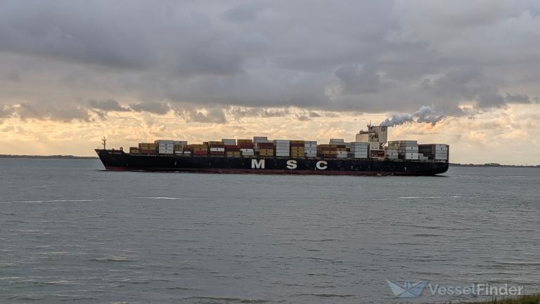 MSC DARIEN