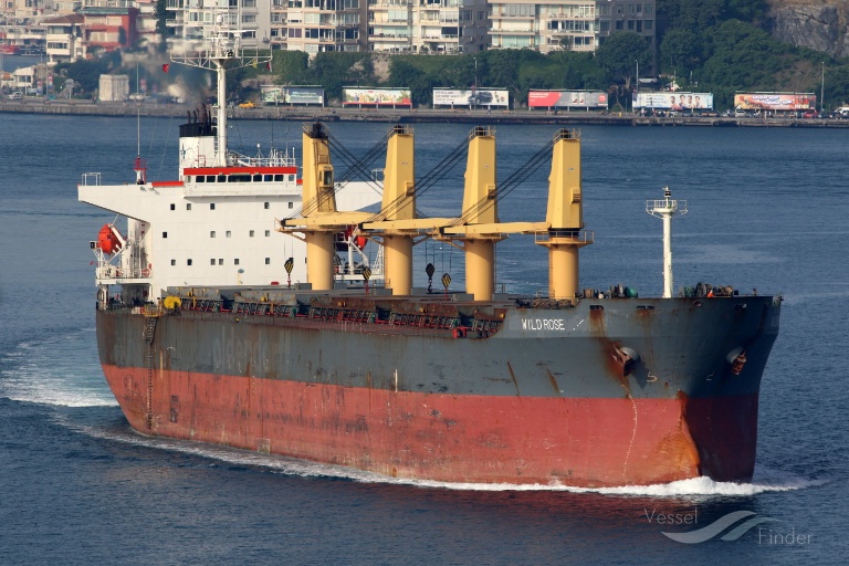 WILD ROSE, Bulk Carrier Details and current position IMO 9243564