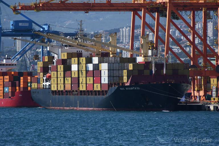 MSC ASSUNTA III photo