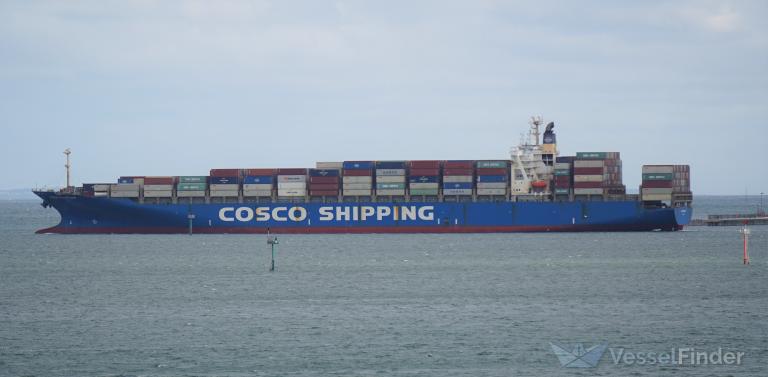 COSCO FELIXSTOWE photo