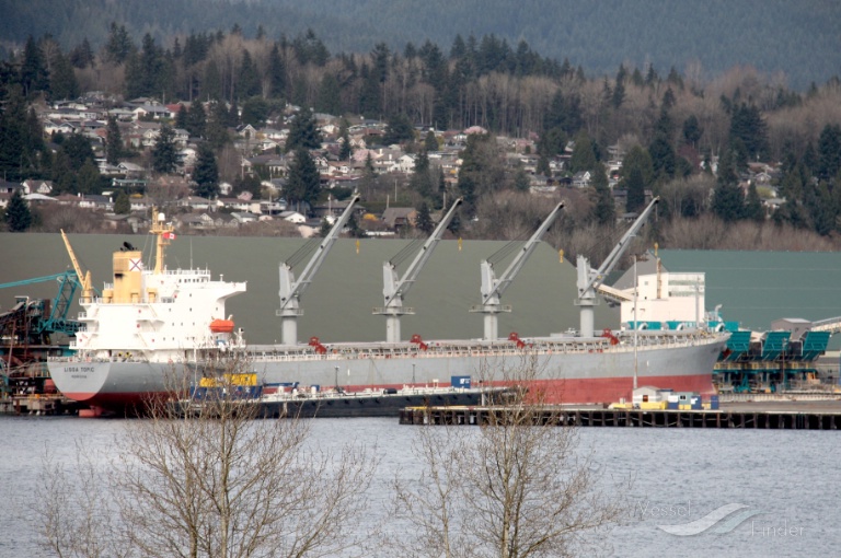 VIVA COSMOS, Bulk Carrier - Details and current position - IMO 9251327 ...
