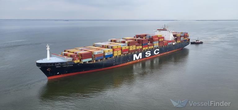 MSC LUDOVICA photo