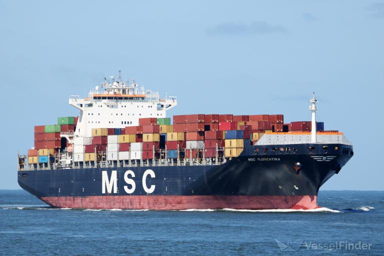 MSC FLORENTINA photo