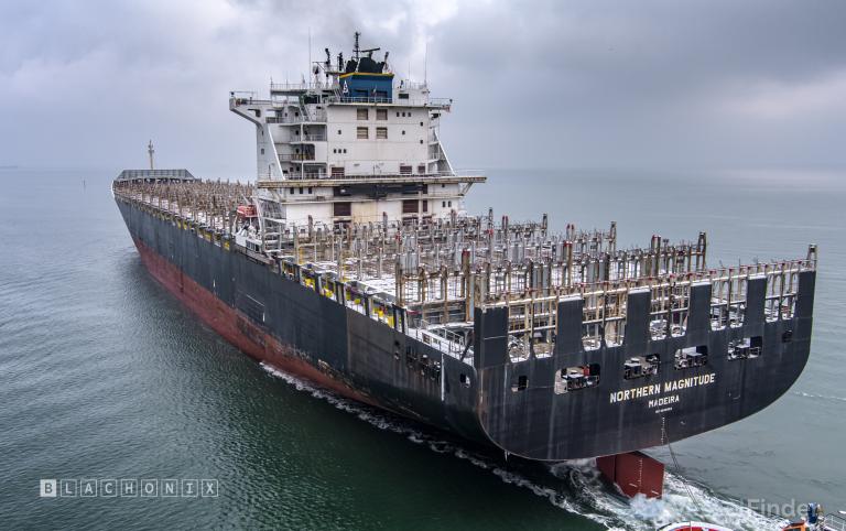 MSC MAGNITUDE VII photo