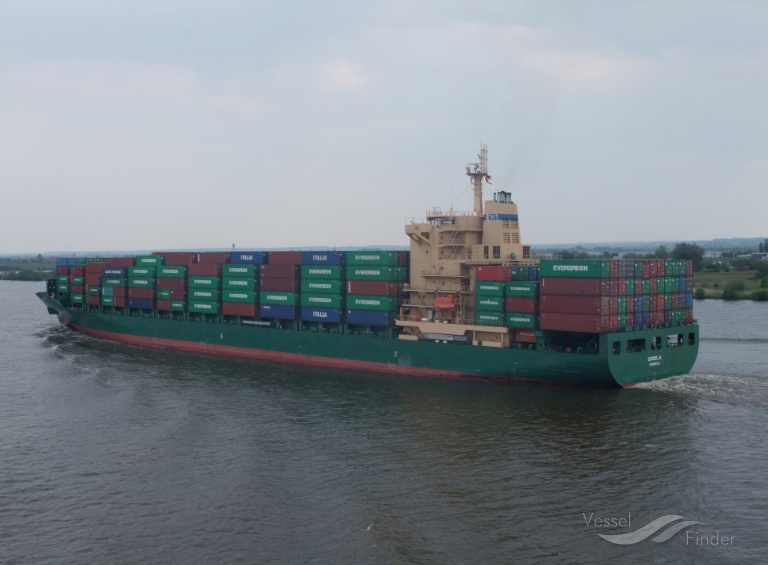 MSC CORDELIA III photo