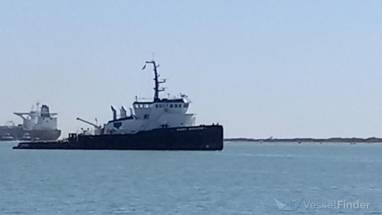 SIGNET WARHORSE I photo