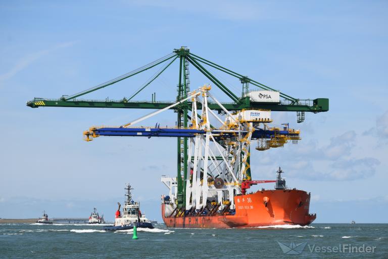 ZHEN HUA 36