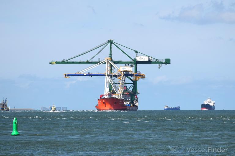 ZHEN HUA 36