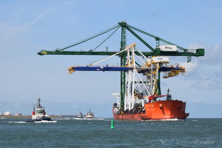 ZHEN HUA 36
