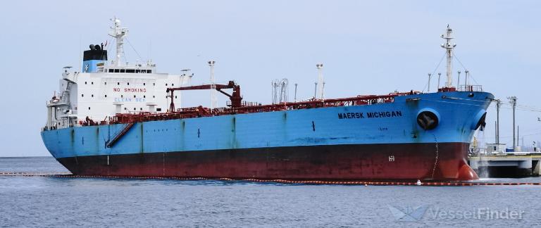 WHITE CONDOR I photo