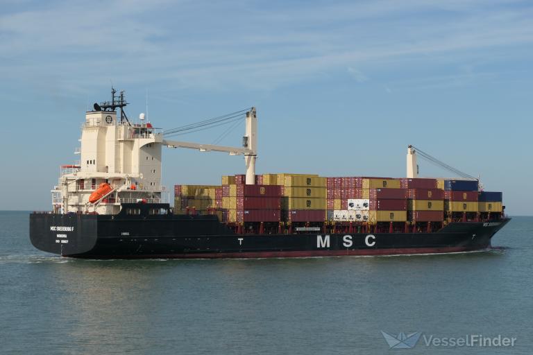 MSC SUEDEROOG F photo