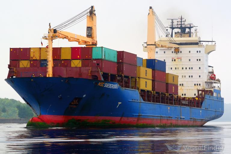 MSC SUEDEROOG F photo