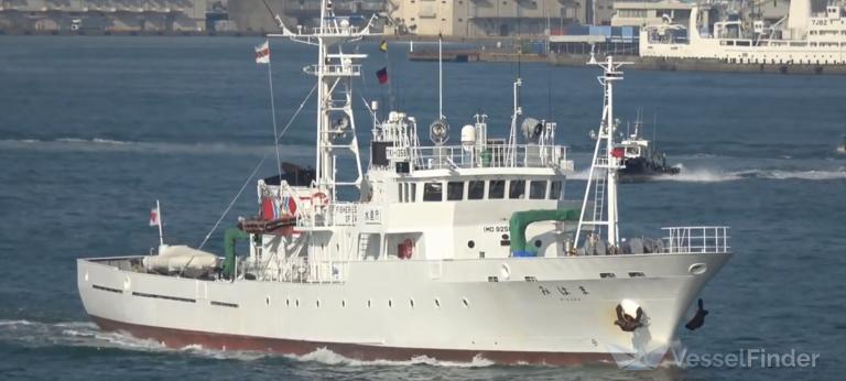 MIHAMA photo