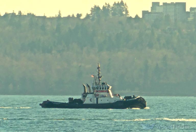 MILLENNIUM DAWN photo