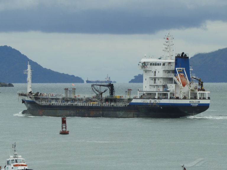 HARBOR DOLPHIN photo