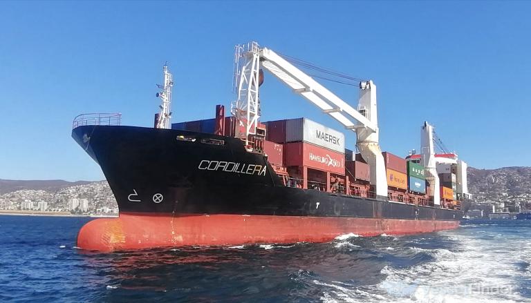 Tukli katta mushuk yaqin