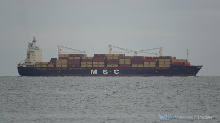 MSC HAILEY ANN III photo
