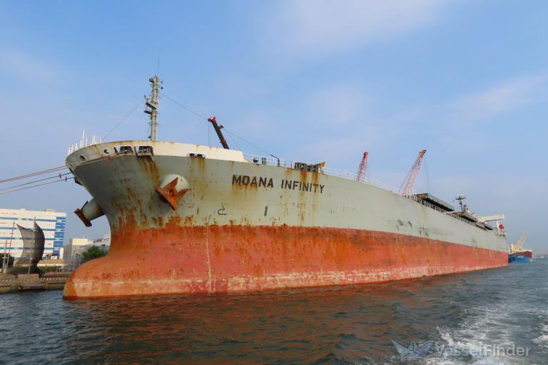 MOANA INFINITY photo