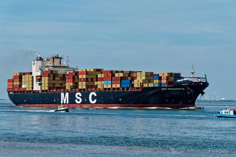 MSC PEGASUS VII