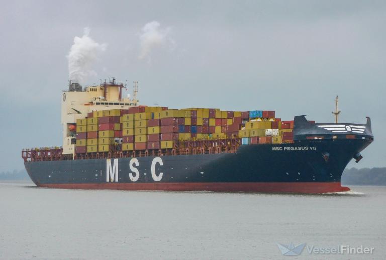 MSC PEGASUS VII