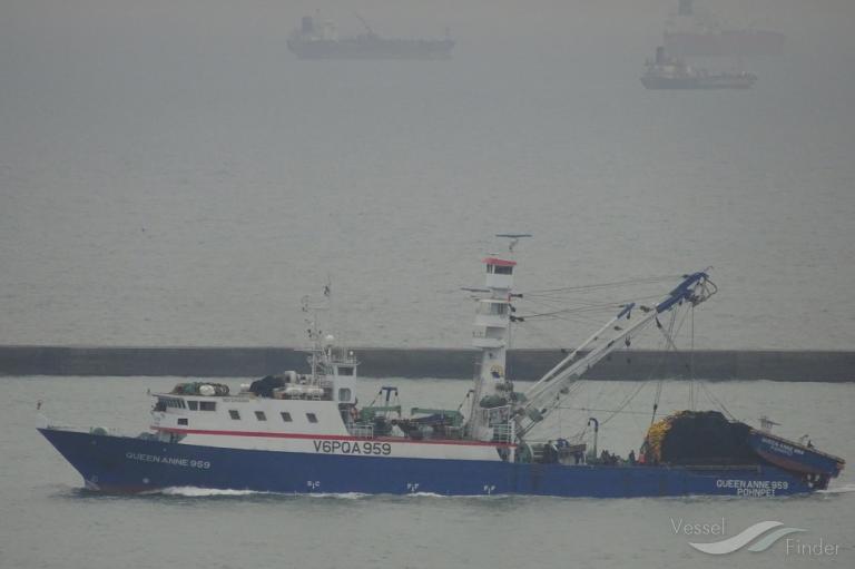 QUEEN ANNE 959 photo