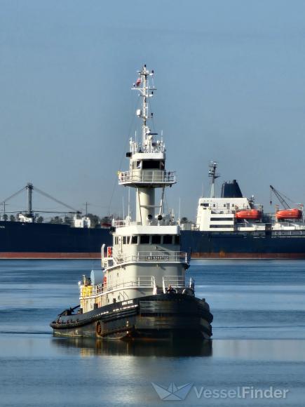 ANNA ROSE, Pusher Tug - Details and current position - IMO 9269702 ...