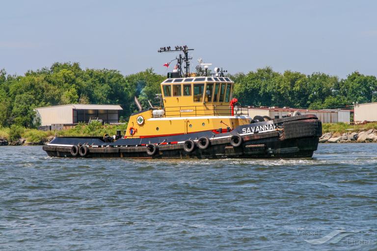 SAVANNAH photo
