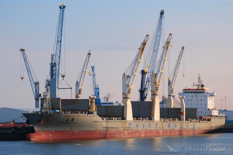 CHIPOLBROK SUN photo