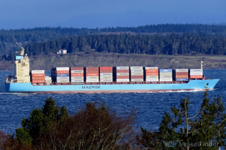 ALIANCA MANAUS photo