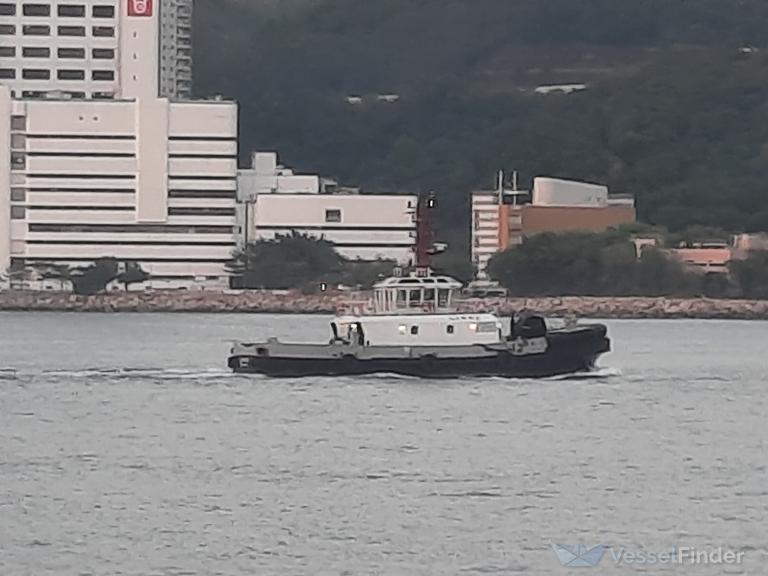 LAMMA photo